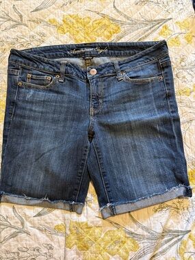 American Eagle Blue Stretch Denim Shorts with Branded Button